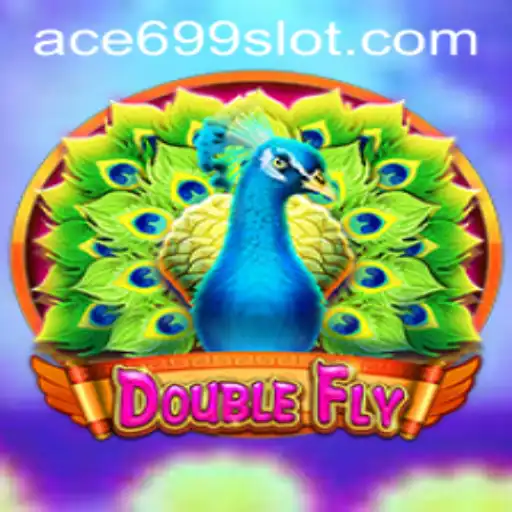 DoubleFly: An Exciting Leap into Future Gaming